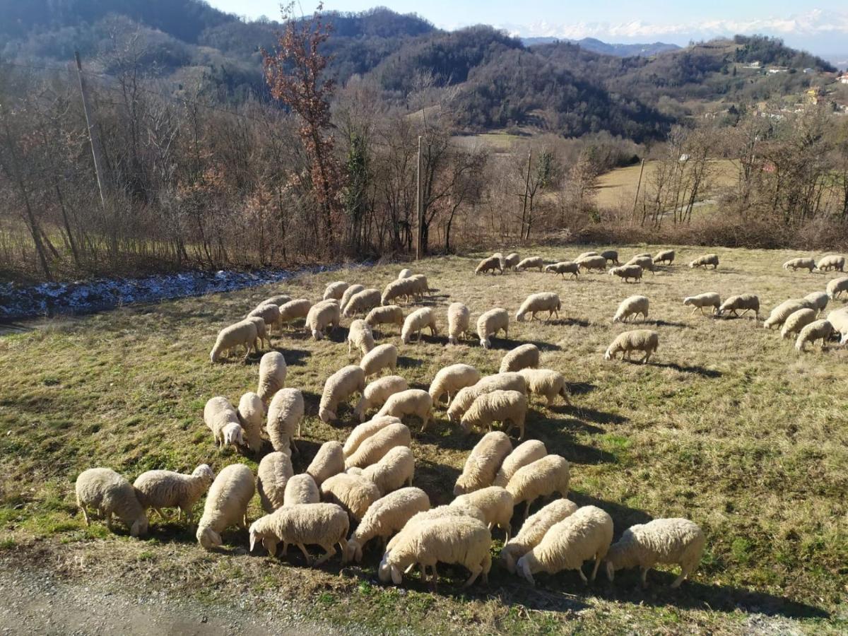 B&B Naturin - Cascina Colombaro Lauriano Exterior foto